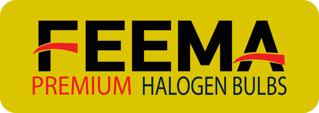 Feema-Logo